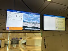無料航空券が当たった！！香港エクスプレスで行く初めての香港とマカオ一人旅