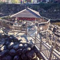 伊豆マリオットホテルスティと修善寺観光　行きにサフィール踊り子号、帰りに踊り子に乗ってみた