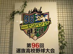 甲子園球場に観戦