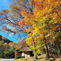 【中山道】17-３　ついに中山道最難関の和田峠へ、紅葉は美しいが、ありゃ？靴はどうした？？　和田峠入口～西餅屋の一里塚