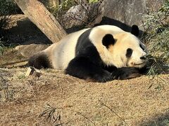 上野動物園