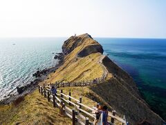 【どこかにマイルでゆく北海道】春の積丹で神様に会う 満喫の旅