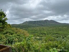 日帰り伊豆大島