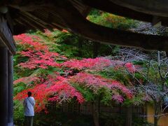 釣山公園