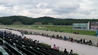 たまにはベタなギャンブルめし2309　「盛岡競馬場で、ジャンボ焼き鳥をいただきました。」　～盛岡・岩手～