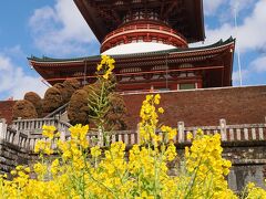 ラオス前泊　成田山に行く　不慮の事故のため一日中成田をウロウロ