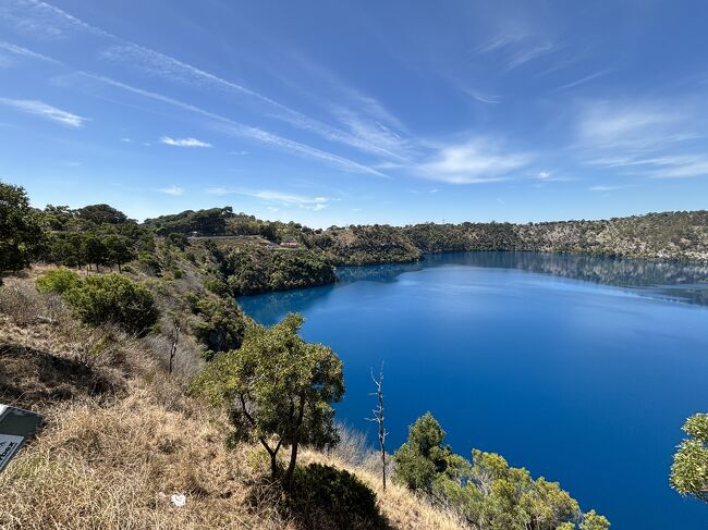 南オーストラリア州、マウントギャンビア、ブルーレイク。メルボルン市内から約5時間、525km。4300年前に火山でできた火口湖、夏の気温の高い時のみ炭酸カルシムが多くなり、それが太陽の光に反射して真青な色になるみたいです。そのため、この真青な色は気温の高くなる夏限定で、毎年11月から3月始めまでの限定となります。この期間以外は、湖の色は一転、グレー色になってしまいます。