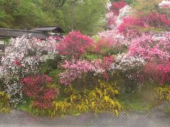 23.4.15　雨の阿智村と苗木城