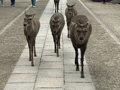 お疲れさま旅行