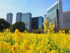 ちょこっと東京さんぽ 深川花手水2024冬／浜離宮恩賜庭園／「ムーランルージュ」「ボディガード」観劇