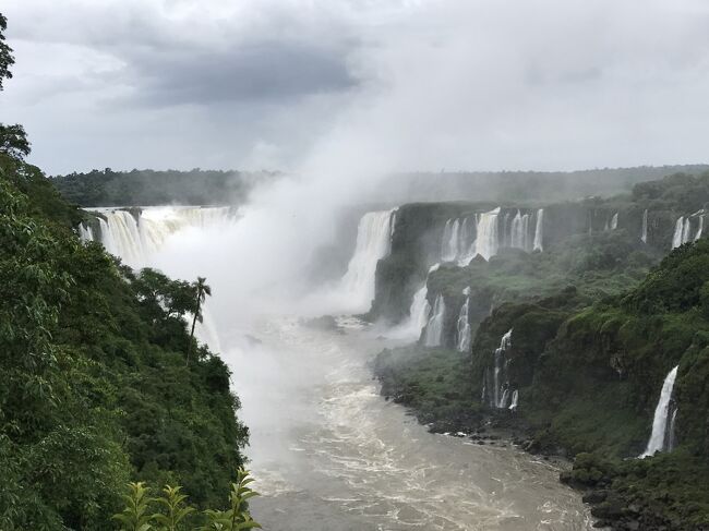 ブラジル、アルゼンチン国境に位置するイグアスの滝を巡りました。2018年5月に続いての2回目の訪問になります。<br /><br />前日はアルゼンチン側の滝を観光しましたが、この日はブラジル側の観光となります。全く違った顔を見せるイグアスの滝です。「悪魔の喉笛」に代表されるように水量の迫力ばかりがクローズアップされがちですが、ブラジル側からの観光は滝を広角に見ることができる為、水量以外の滝のスケールを感じることができオススメです。<br />滝の観光前には野鳥センターも観光しましたが、日本では見たこともないようなカラフルな野鳥に出会えました。<br /><br />ガイドさんも大ベテラン、且つて皇族のブラジル訪問の際にアテンドした経験もあるという「伝説のガイド」でした。