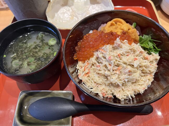 行ったことがなくて気になっていた、福井県。<br />敦賀であれば新快速が出ており、大阪からも青春18きっぷを使って日帰りで行けると知り、出かけることにしました。<br />一番の目的は「美味しい海鮮丼を食べること」。<br />北陸新幹線開業初日ということもあり、大盛り上がりの敦賀で念願の海鮮丼を食べてきました。