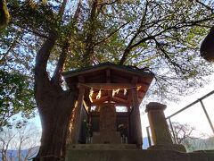 2024年3月　神奈川県相模　木っ端な城跡を巡る旅
