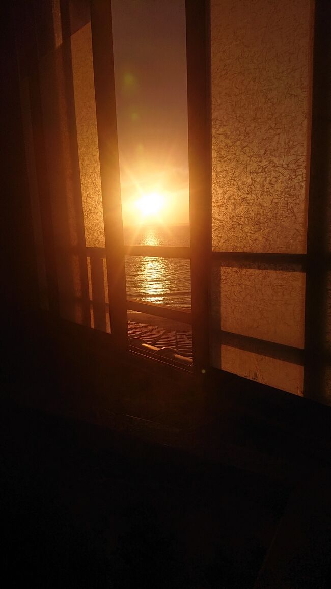 旅行支援を使って南房総旅。<br />千葉はいろいろ行ったけど初めて千葉最南端へ。<br />温泉といちご狩りを楽しんできました。<br />1泊目は南房総の南海荘、2泊目は鋸南町のゆうみへ宿泊してきました。