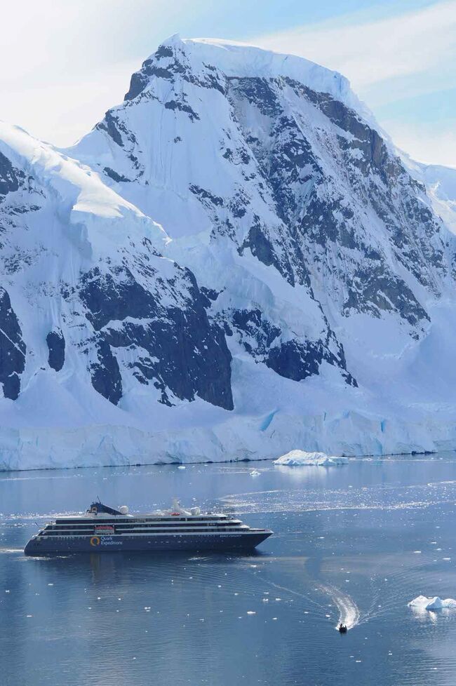 憧れの南極へ。氷山・ペンギン・クジラ・シャチ・オットセイなど大自然とたくさんの動物を見て、大感動の旅！！
