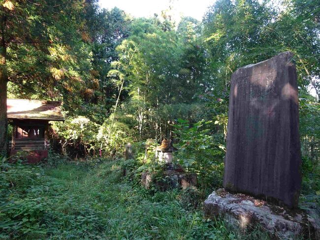 私たちの旅は、村の鎮守さまレベルの神社を訪ねることが多いのですが、今回は神社どころではなく、石碑です。石の板。表を見て、裏を見て、おしまい。所要時間数分。<br /><br />児玉党の党祖、児玉維行（これゆき）が別当だった官営の馬牧場、阿久原牧（あくはらまき）。<br />知っている？<br />「知らないなあ」By妻<br />私を含めて、フツーの人は知りません。<br />金鑚神社は中世児玉党の精神的シンボルだったらしい。その党祖が児玉維行。阿久原牧に、11世紀はじめ京の中央政府から別当つまり管理責任者として送られてきました。<br />その後土着して、児玉党を束ねることになります。<br />分かった？<br />「もっと分からん」By妻<br />ま、行ってみましょう。<br /><br />一書に曰く、<br />児玉党。<br />わくわく。<br />昔、ローハイドって、西部劇があったのご存知ですか。<br />今や、おじいさんになっちゃったけど、いい感じのインテリのクリント・イーストウッドが、若手で出ていました。<br />あの感じなんだよね。<br />海賊の漫画かな？とも思ったけれど、やっぱりローハイド。<br />なんたって馬。<br />日本のカウボーイのお話が、児玉党のお話です。<br />って、言い切っちゃいました。<br />いいのかな？<br />まあ、いいや。女は度胸だ。<br />今回はその線で行く！<br />By妻<br /><br />海賊って？と聞いたら「分からないのはあなただけ」とBy妻に、冷蔵庫の目で見られました。<br />ワンピースのことだそうです。<br /><br />参考書は下記に並べました。<br />引用では僭越ながら敬称を略させていただきます。<br />「ヤマトタケル空白の旅路　金鑚神社1　華奴蘇奴国、卑弥呼登場！？」<br />https://4travel.jp/travelogue/11887487<br /><br />投稿日：2024/03/24<br />