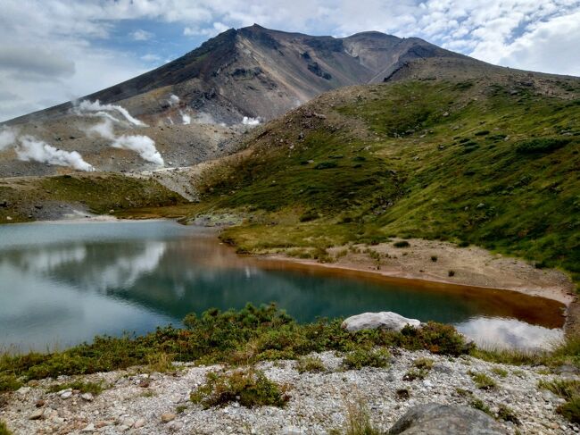 ロープウェイを使って大雪山の旭岳を登りました。9月初旬で紅葉はまだでしたが、花がたくさん咲いてました。メアカンキンバイなど北海道の山ならではの花も見られて良かったです。