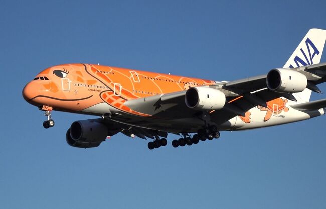 2023年秋、成田へ飛行機を見に行く旅行です。ANAクラウンプラザホテル成田にも泊まってみたかったので、行ってみました。<br /><br />では、飛行機三昧の旅のスタート!<br />成田は国際線が多く、いろいろな飛行機が見られるので楽しいですね。<br /><br />1日目は、午前中のリモート業務後自宅出発→ 東関東自動車道→ 成田 ひこうきの丘(フライングホヌ他)→ ANAクラウンプラザホテル成田チェックイン→ 成田空港T1 唐朝刀削麺にて中華の夕食→ ホテルレストランカフェ セレースでお茶→ ホテル特製プリン です。<br /><br />2日目:レストランカフェ セレースで朝食ブッフェ(発酵バタークロワッサンが美味しい)→空の駅 さくら館→ さくらの山公園→ 航空科学博物館→ ひこうきの丘(フライングホヌ他)→ 空の駅 風和里しばやま→ 東関東自動車道→ 自宅へ<br />https://4travel.jp/travelogue/11895744