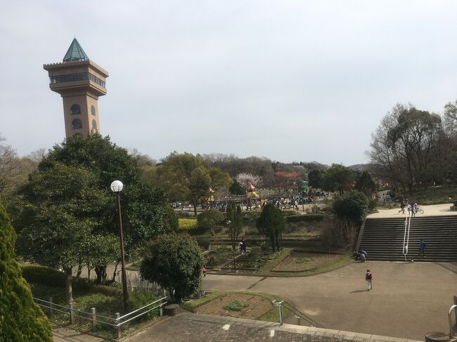 今は無き小田急の散歩アプリに載っていたコースを元に小田急相模原駅周辺を散歩した日