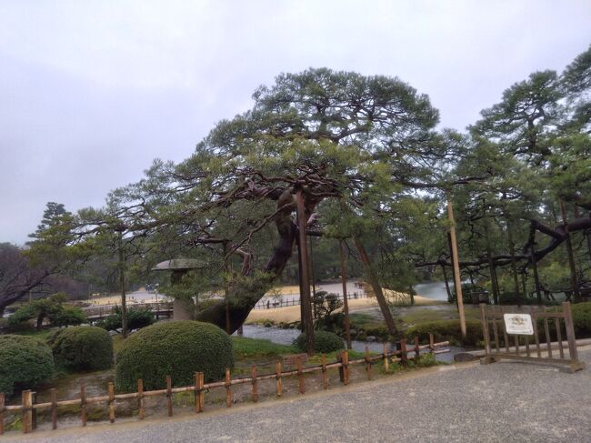 　金沢市は北陸地方の経済・文化の中心都市で、石川県の県庁所在地であります。また、金沢市は食べ物のおいしいまちとしても有名です。その理由としては豊かな食材が挙げられます。山と海に囲まれたロケーションであるため、四季を通じて新鮮な食材が容易に手に入ります。日本海の恵みとしてはズワイガニや甘エビ・ノドグロ・ブリ、加賀野菜は加賀れんこん、金時草、源助だいこんなどがあります。「治部煮」や「鯛の唐蒸し」「かぶらずし」といった特色のある郷土食が多いのも特徴です。<br />　金沢の地名は山芋を掘って売っていた藤五郎という青年がおり、山で芋をほっていると、芋のひげに砂金がついていました。その砂金を洗った泉が「金洗沢（かなあらいざわ）」とよばれた事から由来しています。<br />　今回は兼六園・21世紀美術館・近江町市場などの観光スポットを訪問し、金沢カレー・金沢の新鮮なネタを使った回転寿司・能登豚の豚丼などのグルメを堪能出来ました!3年ぶりの金沢を楽しむ事が出来ました!<br />　今回の旅行体験記はブログを見てくださっている皆様、フォローしてくださっているトラベラーの方々のおかげで記念すべき120回目を迎える事が出来ました!本当にありがとうございます!これからも皆さんが楽しめて、行きたくなるような旅行体験記を書けるように精一杯努力しますので、宜しくお願い致します!<br />　ブログでこの事を書くのは不謹慎かもしれませんが、能登半島地震で被災された皆様、家族を亡くされた方、亡くなった方に対して心からお悔やみ申し上げます。胸が張り裂ける思いです。このブログで1日も早い復興、北陸に更なる活気が戻る事を強く願っています。<br />　最後になりますが、私の旅行記を見て金沢市に行きたいと思ったきっかけ及び金沢市に旅行に行く時の参考となれば幸いです。金沢市の旅行が皆様にとって忘れならない思い出になります事を心よりお祈り申し上げます。<br />参考資料<br />・ホームメイト　　<br />・金沢に住もう<br />・金沢市<br />・金澤旅物語<br />・石川県観光公式サイト　<br />・テレビ金沢<br />・金沢日和<br />・JRお出かけネット　<br />・美術手帖<br />・今井金箔