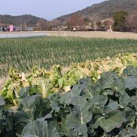 徳島*鳴門で１泊♪後編【ベイリゾートホテル鳴門海月・渦の道・淡路ファームパーク イングランドの丘】