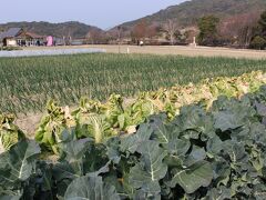 徳島*鳴門で１泊♪後編【ベイリゾートホテル鳴門海月・渦の道・淡路ファームパーク イングランドの丘】