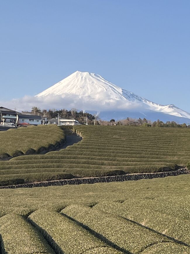 月に一度の実家訪問時の富士山や食べたモノ。