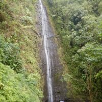 2024 ハワイ・オアフ島旅行記 【4】マノアの滝ハイキング