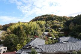 晩秋の紅葉と温泉旅♪　Vol.99 ☆伊豆長岡温泉「八の坊」：さようなら♪