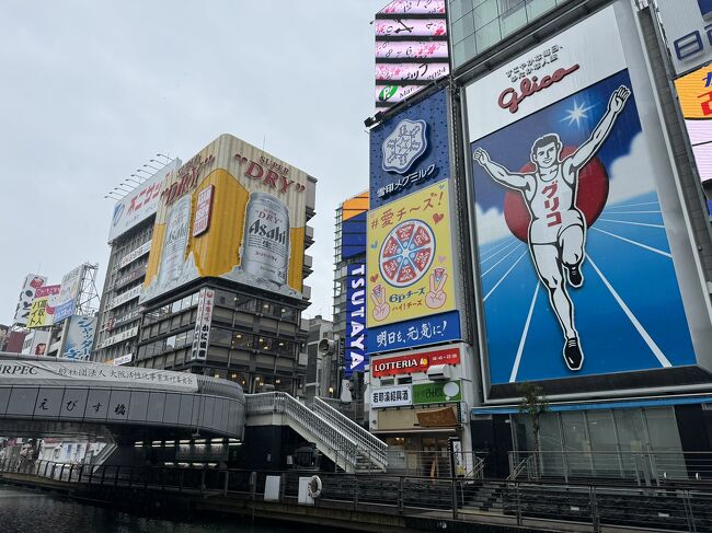 甲子園球場でのセンバツ高校野球を見る予定で、前日に東京から大阪へ。朝ホテルから甲子園球場に向かいましたが、高校野球は雨天中止となってしまいました。<br />２０時の大阪発の飛行機は時間変更ができない予約だったので、大阪観光をして、夜まで時間をつぶすことに。<br /><br />　大阪駅　→大阪城　→道頓堀・心斎橋（たこ焼き食べ歩き）　→大阪空港（ＪＡＬラウンジで読書）<br />