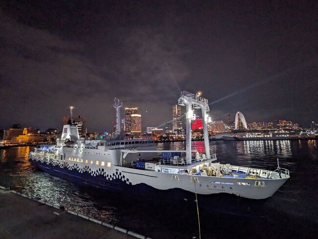 「東海汽船」が、10月末～３月末限定で、東京湾ナイトクルーズを開催すると聞いて行ってきました。<br /><br />◇東海汽船<br />https://www.tokaikisen.co.jp/