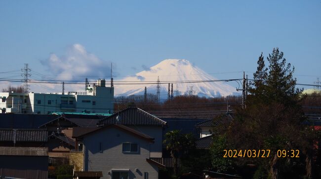 3月27日、午前9時過ぎにふじみ野市から美しい富士山が見られました。このところ、ぐずついた長雨の後の晴天で見られる富士山は美しかったです。<br /><br /><br /><br /><br />*久し振りに見られた富士山<br />