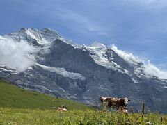 スイスで夏山ハイキング～初心者王道コース　2021年８月（グリンデルワルト編）