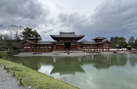 ⑪マダムの桜15景　華やぎの京都3日間　2日目の４　平等院～勧修寺