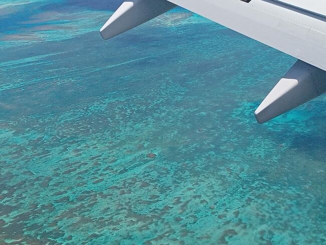 梅雨の時期は飛行機もホテルもお得プライス。<br />６月の宮古島は気温も海水温もシュノーケリングには最適！<br />すっかり定宿になったシギラリゾートライフを楽しみつつ、<br />行っちゃいましょう宮古島！お天気は運まかせ～(^^♪