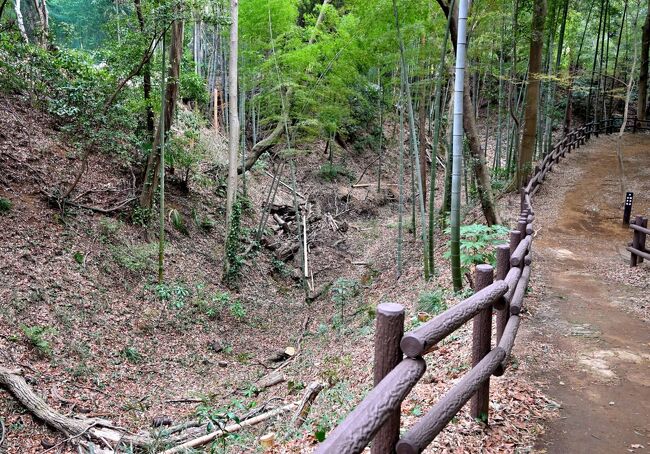 続日本百名城の中で、まだ行っていなかった小机城と品川台場を訪れた。