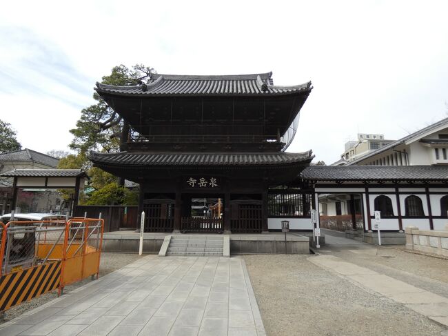 京浜急行の品川駅の東京寄りの隣駅・泉岳寺駅より徒歩3、4分の坂の途中にある曹洞宗寺院。慶長17年（1612）徳川家康公によって創建された寺院で、現在地へ移転の際に尽力した浅野家の菩提寺です。12月14日吉良邸討ち入りを果たした赤穂義士四十七士の墓が有ります。泉岳寺のある港区には赤穂義士ゆかりの史跡が多く残されています。山門を入ると右手に大石内蔵助銅像が建ち、左手には義士記念館、その奥に赤穂義士四十七士の墓所が有ります。首洗い井戸や義士木像館もあり梅が綺麗に咲いています。寺の近くの旧細川家の屋敷跡には大石良雄外十六人忠烈の跡が悲しく残っています。この細川家屋敷に大石内蔵助ら十七人が預けられ元禄16年（1703）切腹しました。