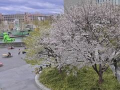 大阪駅☆ルクアバルチカ(ちょい飲み) ＆ 駅前ダイヤモンド地区《高層ビルと桜》