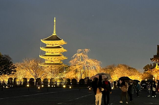 ⑬マダムの桜15景　華やぎの京都3日間　2日目の６　東寺