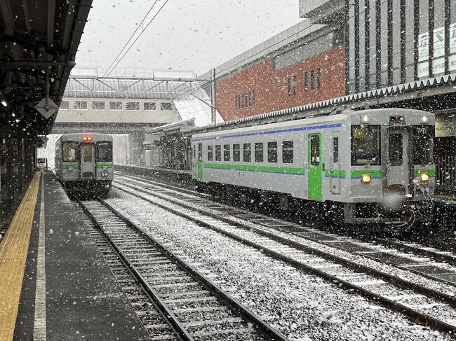 ANAきたフリーパスで札幌近郊の路線を乗りつぶし