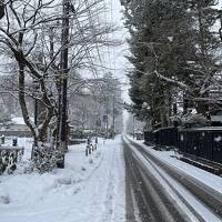 2024年3月春の週末二泊一人旅～秋田県角館・田沢湖③：春雪舞う角館『外町（とまち）』を散策～