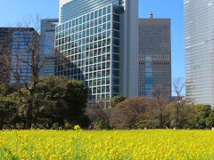 浜離宮恩賜庭園