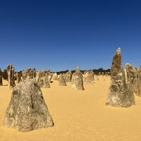 のんびりパースの旅　5　ピナクルズツアー