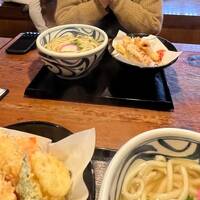 お腹イッパイ_うどん(麺処 まはろ)/さぬき市/2024