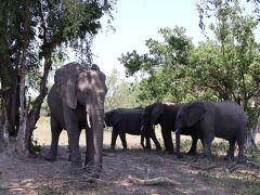 ボツワナ　「行った所・見た所」　カサネにあるチョベ国立公園を観光