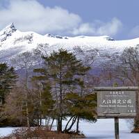 大沼は雪と氷に覆われて・・一年振りの旅先は函館・大沼(３日目)