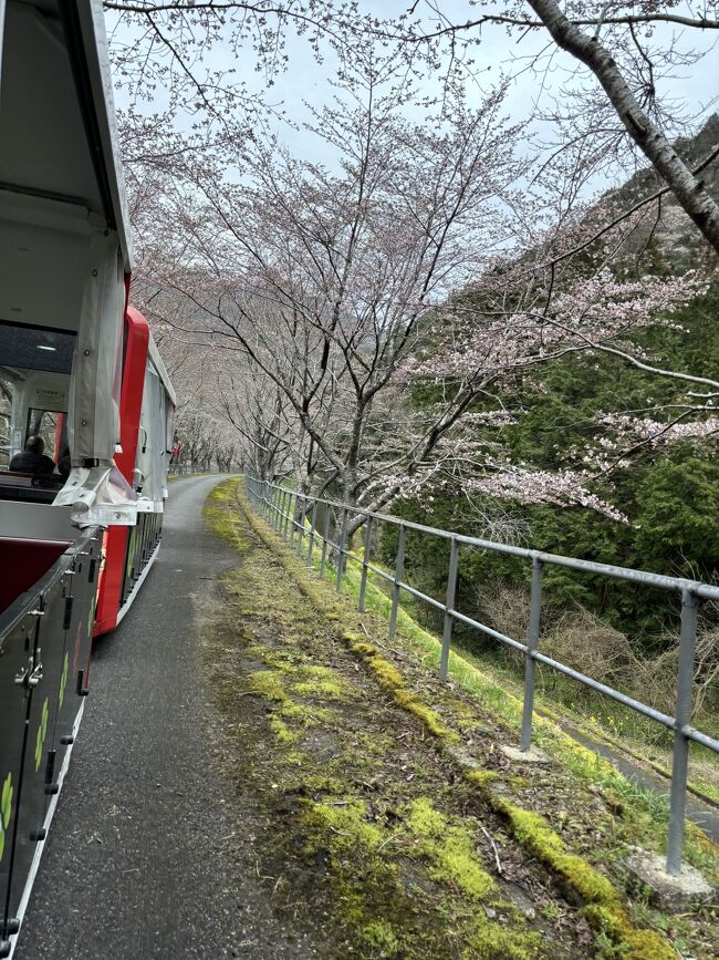 東京から２０２４年春季の青春１８きっぷを利用し、第三セクターの智頭急行の普通列車で鳥取まで。その先は益田からバスで、一部路盤が完成していながら遂に列車が走らなかった岩日北線の経路をつなぎ、岩国まで向かう旅です。おおまかな旅程は以下のとおりでした。<br /><br />1日目：東京－姫路（泊）<br />2日目：姫路－（智頭急行経由）－鳥取－益田（泊）<br />3日目：益田（連泊）※惣郷鉄橋で撮り鉄の真似事<br />4日目：益田－六日市－錦町－岩国－姫路（泊）<br />5日目：姫路－東京