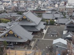 奈良･京都　弾丸２人旅   2024・3月  (２)