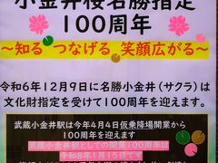 武蔵小金井駅　小金井桜名勝指定100周年・仮乗降場開業100周年　☆浮世絵ポスター掲示中