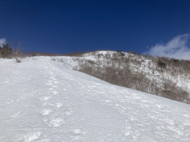 長野最後の思い出作りに残雪期の飯綱山へ